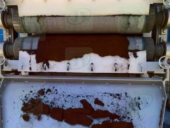 Belt Press Dehydrator The Efficient Choice for Coconut Coir Processing