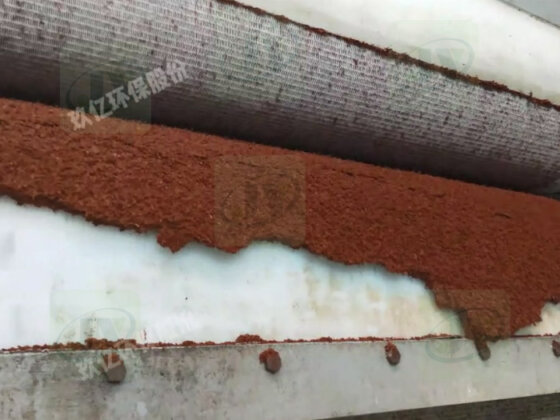 Indonesia Coconut coir Belt Dehydrator Project