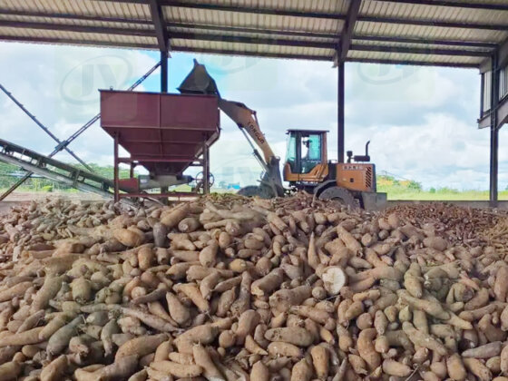 Selection strategy for cassava starch residue dehydration equipment