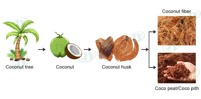 Composition of Coconut