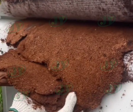 cocopeat coconut coir belt dewatering machine