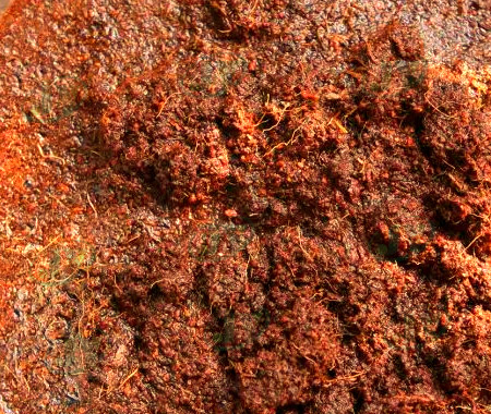 cocopeat coconut coir dewatering